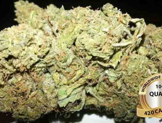 Acapulco-Gold-AG-600×456-1.jpg