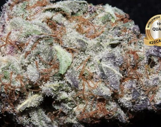 Blackberry-kush-600×473-1.jpg