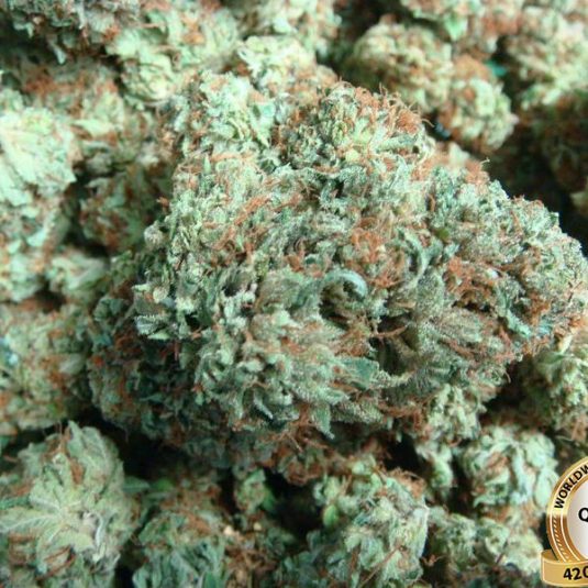 Bubba-Kush..-600×600-1.jpg