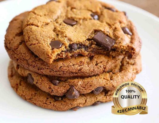 Cannabis-Chocolate-Chip-Cookie-Bite.jpg