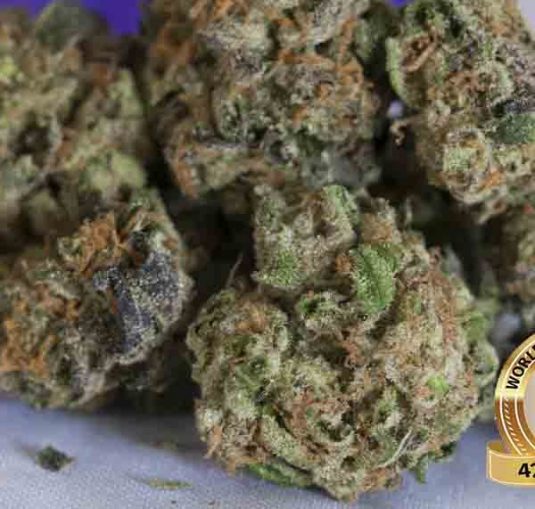Girl-Scout-Cookies-600×571-1.jpg
