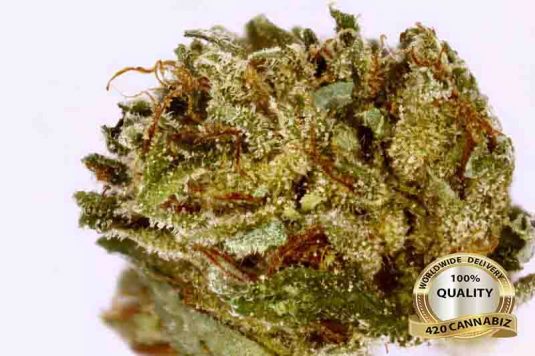 Hindu-Kush.jpg