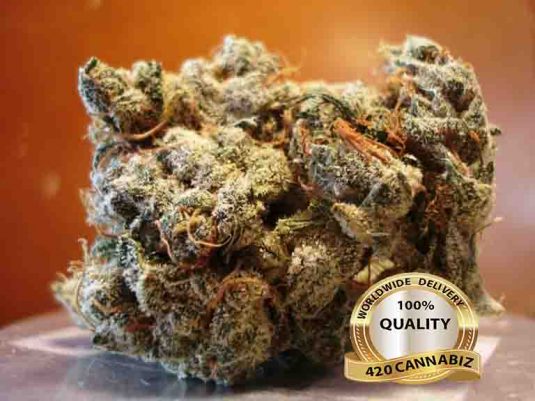 Jack-Herer.jpg