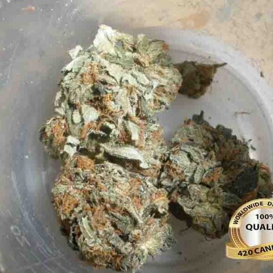 LA-Confidential-1-600×600-1.jpg