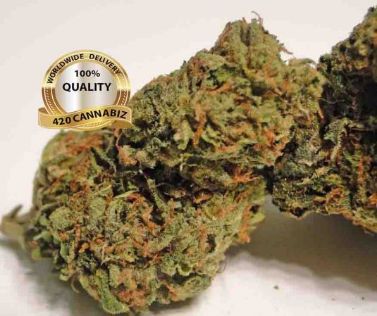 Master-Kush-1.jpg