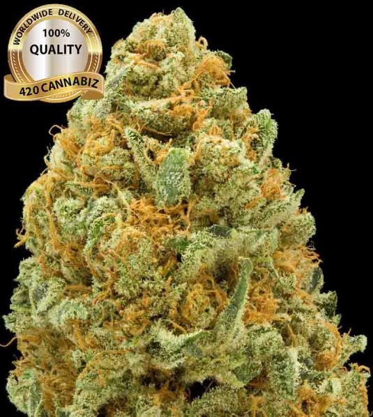 OG-Kush.jpg