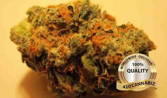 Orange-Kush.jpg