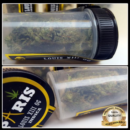 Paris-Premium-Flower-King-Louis-XIII-OG.jpg