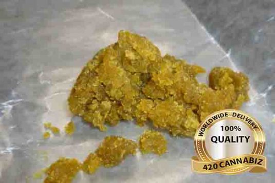 Purple-Shock-Tart-Amber-Shatter.jpg