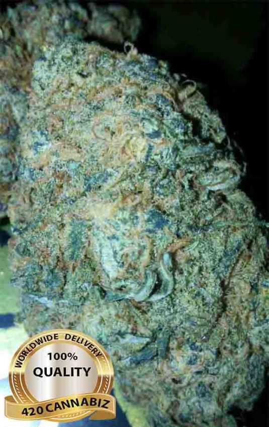 blue-dream.jpg